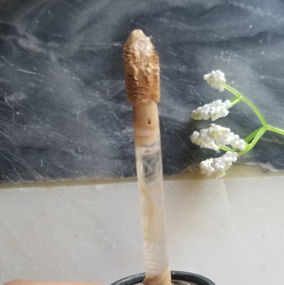 Too Faced Born this Way Concealer Golden Beige - Picture 3 of 5